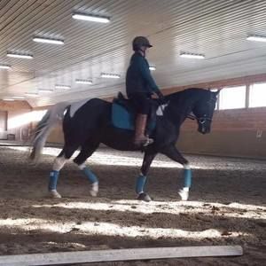 Meet your Posher, Dawn